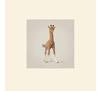 John Butler (Giraffe 30 x 30 cm montée d'impression