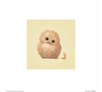 John Butler (Owl 30 x 30 cm Toile Imprimée