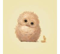 John Butler (Owl 40 x 40 cm Toile Imprimée