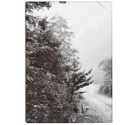 John Cage & William Gedney Iris Garden /anglais