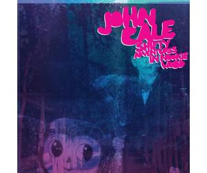John Cale - Shifty Adventures in Nookie wood