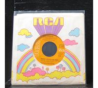 John Denver - 45vinylrecord Rocky Mountain High/Spring (7"/45 rpm)