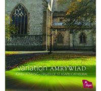 John Hosking,Organ of St Asaph Cathed - Variation Amrywiad [Import]