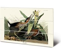John James Audubon - imprimé "Green Heron" PM4297 (40 cm x 59 cm) (Vert/blanc naturel)