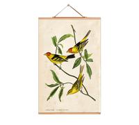 John James Audubon No 166 affiche eicie OFFRE SPECIALE - 4052115044154