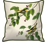 John James Audubon - Oiseau à lunettes carbonique - Coussin - Velours PM11473 (Taille unique) (Blanc/Vert)