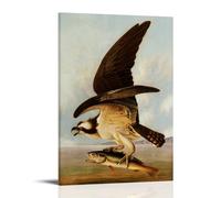 John James Audubon Poster classique Osprey et Weakfish Impression sur toile Décoration d'intérieur moderne 50 x 75 cm