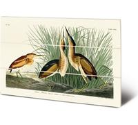John James Audubon - Tableau "Least Bittern", bois PM5662 (20 cm x 29,5 cm) (Vert/Brun/Blanc)