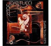 John Patitucci - Heart of The Bass