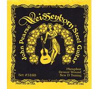 John Pearse Strings Strings 3160 Jeu de Cordes pour Guitare Weissenborn Steel - Phosphor Bronze - New D-Tuning