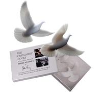 John Perry Christmas Turtle Doves The Official Turtle Doves Friendship Symbol Christmas Love 2 Piece Set by Official Artist of the Movie Kevin Alone In NY