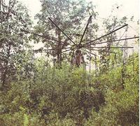 John Wiese - Black Magic Pond [Import]