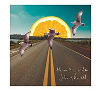 Johnny Borrell – My World, Your Life – Vinyle 7" – Import – The Orchard