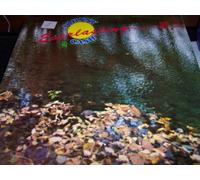 Johnny Cash - Everlasting