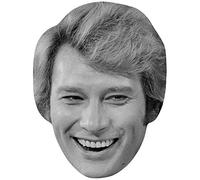 Johnny Hallyday (BW) Masques de celebrites