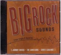 Johnny Socko - Big Rock Sounds: Music From the Socko Extended Family (UK Import)