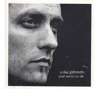 Johnson, Mike - What Would You Do ?