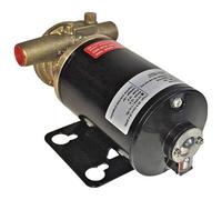 Johnson Pump 10-24516-01 Pompe à impulseur F3B-19 avec moteur à courant continu