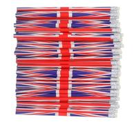 JOINPAYA 100 Crayons en Bois à Thème Festif Petits Crayons à Dessin Colorés Multi-Usages pour École et Bureau Fournitures Scolaires 100 Pièces Motifs Drapeaux Colorés pour Artistes et