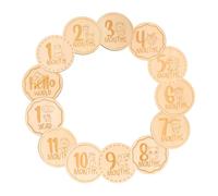 JOINPAYA 13pièces Étiquettes Décoratives Bois Pour Motifs Animaux Accessoires Photo Lot De Cartes Mensuelles Cadeaux Né