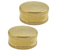 JOINPAYA 2 Pièces Bouchon D’extrémité en Laiton pour Tuyau D’arrosage 3/4, Embout Femelle, Compatible Répartiteur et Jardin, Usage Extérieur, Serrage Manuel, Doré