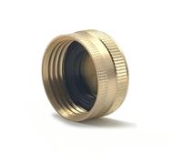 JOINPAYA 2 pièces Bouchon Laiton pour Tuyau de Jardin Filetage Fin Fermeture Étanche Accessoires Arrosage Robustes Adapté Irrigation Goutte à Goutte et Raccords Eau