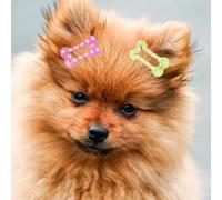 JOINPAYA 20 Pièces Clips Métalliques pour Cheveux de Chien Os Couleurs Bonbon Barrettes Solides et Décoratives pour Animaux Accessoires et Durables