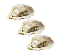 JOINPAYA 3pièces Lot de Huîtres Artificielles Fausses Aliments Réalistes pour Décoration Cuisine Modèle Fruits De Mer Simulation