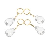 JOINPAYA 4 pièces Boîte Transparente Porte-clés pour Poils de Chien Souvenir Commémoratif et Polyvalent pour Collection de Poils Animaux Décoration Porte-clés Sentimentale