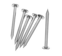 JOINPAYA 6 pièces Lot de Piquets de Acier Inoxydable Clous de Mesure Robustes pour Bornage Piquets de Jardin Résistants Corrosion Installation Facile pour Topographie et Travaux Extérieurs