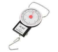 JOINPAYA Balance à Suspendre Portable Pèse-Poissons Mécanique à Ressort Échelle Manuelle Polyvalente pour Bagages Fruits et Petits Animaux