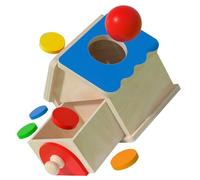 JOINPAYA Boîte à Jouets Bois Montessori pour Garçon Fille Jeu Éducatif Sensoriel de Motricité Fine avec Apprentissage pour Développement Cognitif et Coordination Main Œil