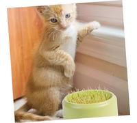 JOINPAYA Boîte de Culture Hydroponique pour Cataire Chat Jardinière pour Plantation sans Sol Plateau Amovible pour Entretien Facile