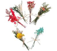 JOINPAYA Bouquet de Fleurs séchées Mini 6 pièces, assortiments naturels pour décoration de Table et Ferme, Style élégant et Naturel, Facile à Entretenir, réduction des déchets