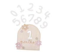JOINPAYA Cartes Étapes Mensuelles Pour Garçon Fille Disques Décoratifs De Naissance Panneau Étapes Mensuelles Pour Maison