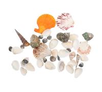 JOINPAYA Décorations en Coquillage D'escargots Coniques pour Aquarium, 2 Sachets pour Aménagement Paysager D'aquarium, Accessoires Sûrs pour Eau Douce et Eau Salée, Décoration Naturelle