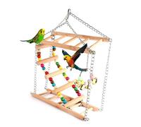 JOINPAYA Échelle pour Oiseaux avec Balancelle Et Chaîne Accessoires pour Perroquets Et Petits Animaux Jouet Suspendu Et Lieu De
