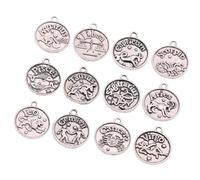 JOINPAYA Ensemble de Pendentifs en Alliage Rétro 12 Signes du Zodiaque Breloques pour Création de Bijoux DIY Accessoires Vintage pour Colliers Bracelets et Porte-Clés Finition Argenté