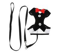 JOINPAYA Harnais pour Chien Kit De Corde De Traction avec Sangle De Poitrine Ensemble Laisse pour Petits Chiens Et Chiots Accessoires pour Animaux De Compagnie