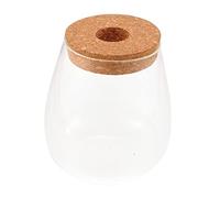 JOINPAYA Jardinière Hydroponique Verre Bouteille pour Plantes Contenant pour Micro-Paysage DIY Terrarium De Bureau pour Maison