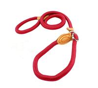 JOINPAYA Laisse Entraînement pour Chien Nylon Conception avec Boucle Métallique pour Ajustement du Cou pour des Animaux de Moyenne Confort et Assurés Laisse Pratique pour Éducation