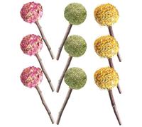 JOINPAYA Lot de 9 Bâtonnets à Mâcher Naturels pour Petits Animaux - Jouets de Dentition pour Lapins Cochons D’Inde et Hamsters - Assortiment Fleurs Séchées pour Hygiène Dentaire et