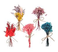 JOINPAYA Mini Bouquets de Fleurs Séchées Naturelles Fleurs Stabilisées Élégantes et Intemporelles Lot de 5 pour Décoration Intérieure et Créations DIY