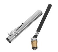 JOINPAYA Mire-œufs de Poule en Acier Inoxydable Lumière Froide Argentée pour Usage Aquacole et Incubation D'œufs d'oie Poule sans Pile AAA Incluse