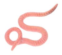 JOINPAYA Modèle De De Terre Simulé Jouet Éducatif pour Décoration Réaliste Insecte Apprentissage Interactif Et Ludique