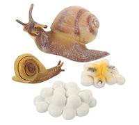 JOINPAYA Modèle Éducatif De Cycle De Croissance D'escargot Pour Garçon Et Filles Jouet Cognitif En Plastique Ensemble De 4 Pièces Décoration Ludique Pour L'exploration Nature Style Aléatoire