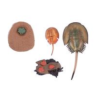 JOINPAYA Modèle Éducatif Réaliste de Crabe en Plastique pour Décoration la Maison et Outil Pédagogique pour Garçon et Filles, Ensemble 1set Coloré et Vivant