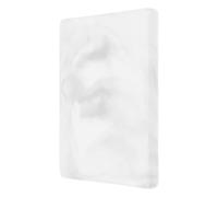 JOINPAYA Tapis Rafraîchissant en Céramique pour Hamster Plateau Refroidissant Carré sans Support Lit D’Été pour Cochon D’Inde Accessoire Cage Hamster pour Apaiser et Rafraîchir en