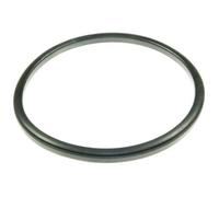 joint aspirateur ergo force cyclonic rowenta RS-RT3870