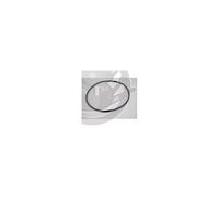 Lagostina joint silicone 22 cm 090003010207 G